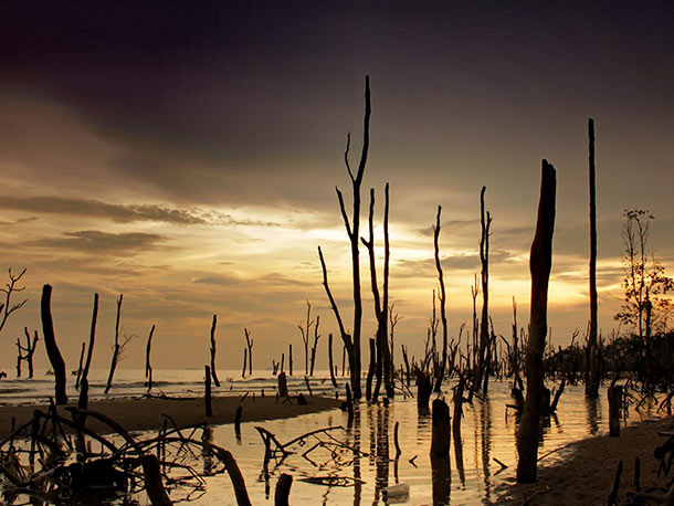 Pantai-Batu-Laut